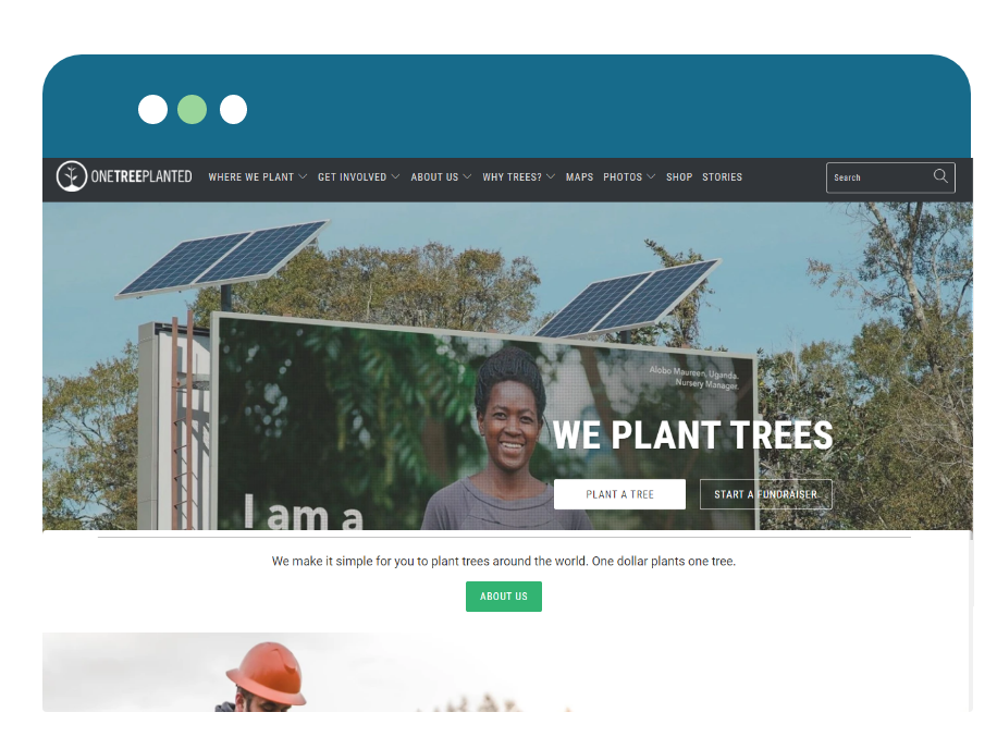 One Tree Planted Codup