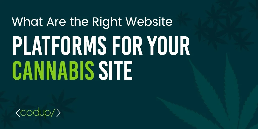 best website builders for CBD products - CODUP